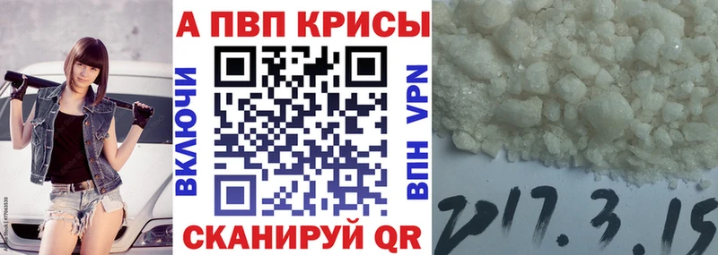 Альфа ПВП СК  Майкоп 