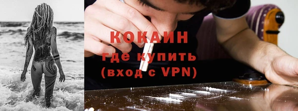 стаф Верея