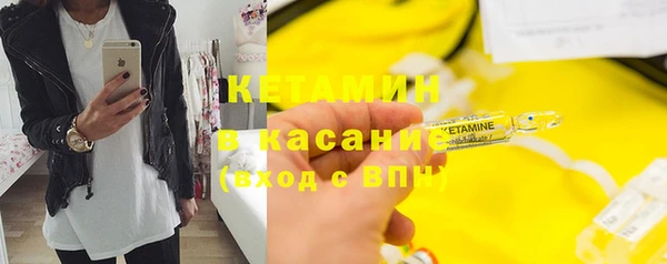 стаф Верея