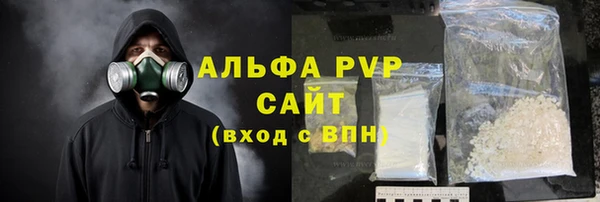 стаф Верея