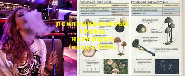 молекула духа Верхнеуральск