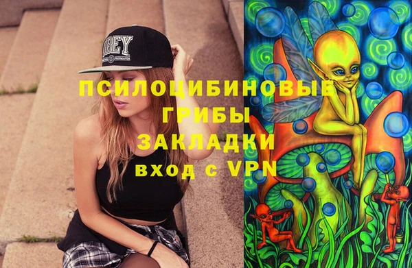 стаф Верея
