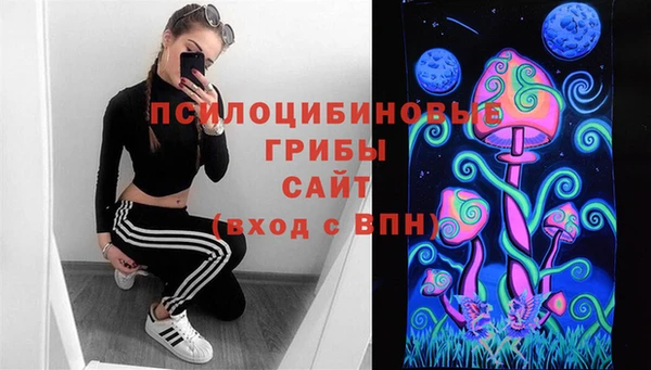 стаф Верея