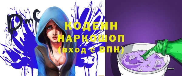 стаф Верея